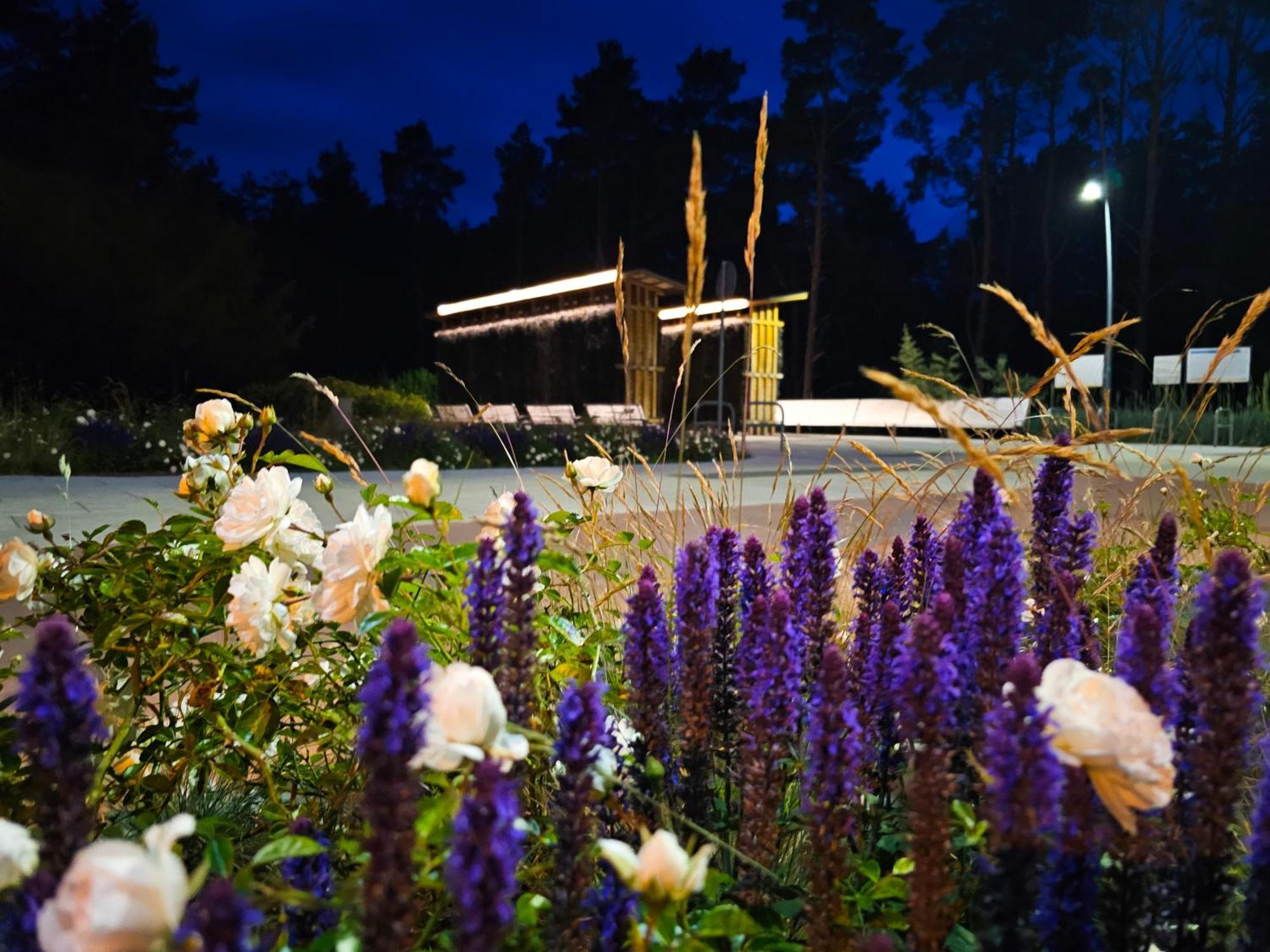 Visit Baltic - Rezydencja Sienkiewicza Rs1.07 ชวีโนวิชแจ ภายนอก รูปภาพ